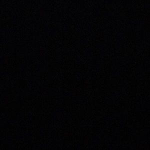 Meet your Posher, Regine